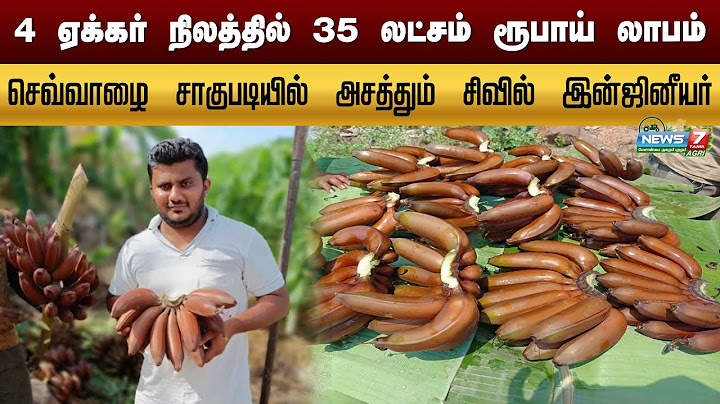 4 ஏக்கர் நிலத்தில் செவ்வாழை சாகுபடி செய்து அசத்தும் Civil Engineer | Red Banana | Abhijit Patil