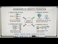 Advantages of Identity Federation #iam #sso #authentication #cybersecurity