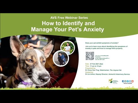 Video: Kroky k identifikaci a zmírnění úzkosti u domácích zvířat