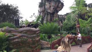 Here's a full walkthrough of Pandora - The World of Avatar at Walt Disney World