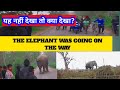THE ELAFHANT WAS GOING ON THE WAY&#39;  TRAFFIC JAM HOGAIYA #viralelafantindia #assamelafant