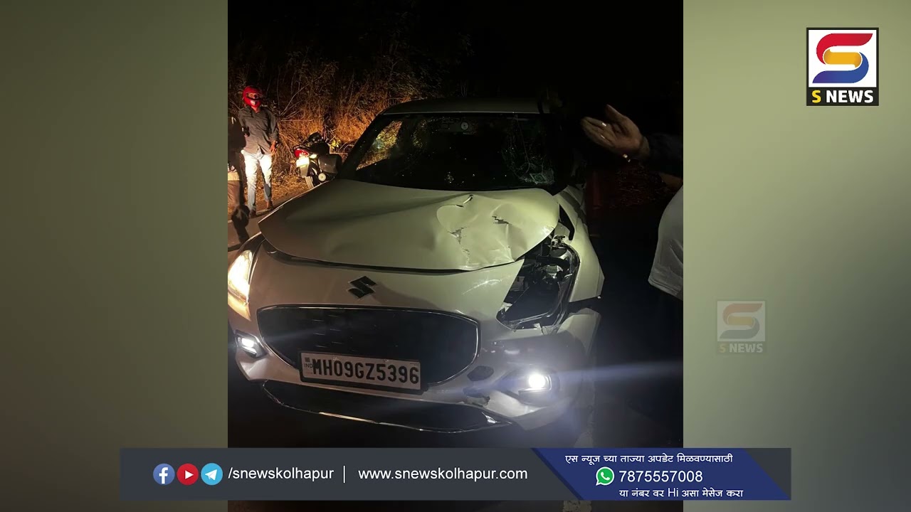 धावत्या कारवर गव्याची थरारक उडी; खिंडी व्हरवडे मार्गावरील घटना, कारचा चक्काचुरा!