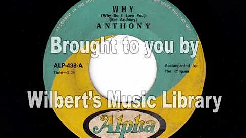 WHY - Ser Anthony