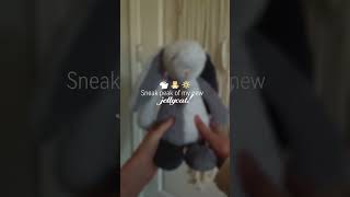 Full unboxing coming soon! #foryou #viral #grwm #jellycat #jellycats #jellycatcollection #unboxing