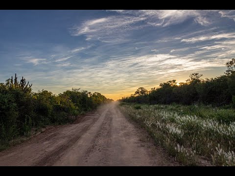 Chaco'i - Curso Fotografia de Naturaleza - La Obra...