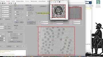 clickingParticlesTomoview
