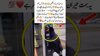 Smart Crow Buys Food from Machine 😱🐦 #Viral #Crow #Amazing #Smart #Trending #MustWatch #foru