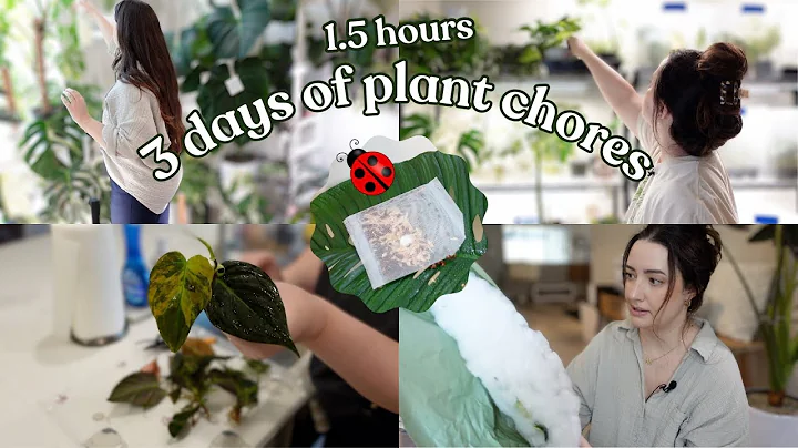 3 Days of Houseplant Chores | Repotting, Propagating, Releasing Beneficial Insects & New Plants 🪴🐞