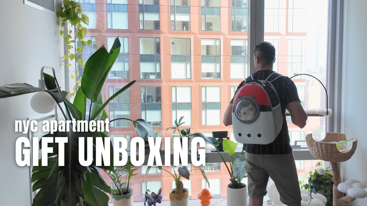 Our dogs and cat react to their first Amazon Wishlist delivery: NYC pet unboxing