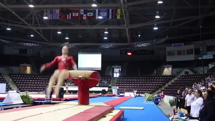 Kirsten Peterman - Vault Qualification - Pan Am Sr...