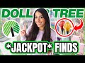 *JACKPOT* Dollar Tree FINDS you have to SEE! February 2025