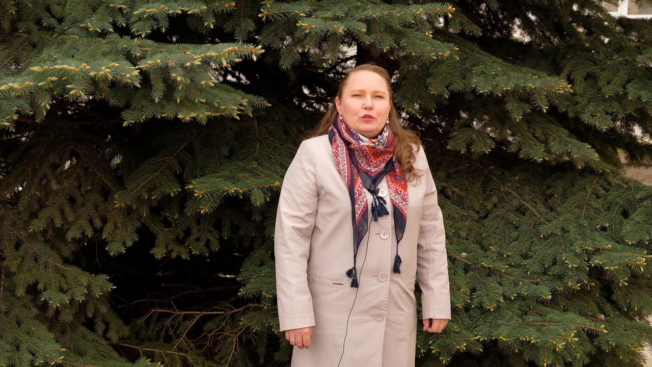 Арсентьева богдана станиславовна