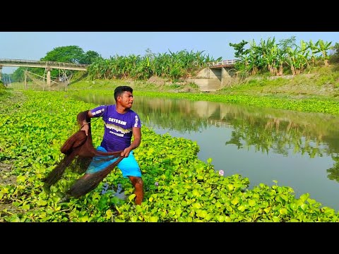 Cast Net Fishing | Beautiful Natural Village River Fishing With A Cast Net (Part-41)