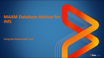 MAXM Database Advisor for IMS - Using the Disassembly Tool
