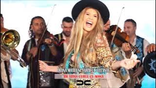 Diana Matei & Taraful Cleante   Am atins cerul cu mana   DJ COSMIN VEERSION