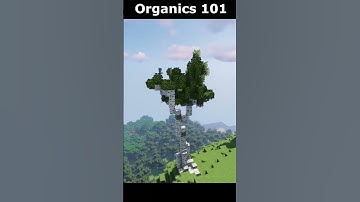 Organics 101: Birch Tree | Minecraft | #shorts