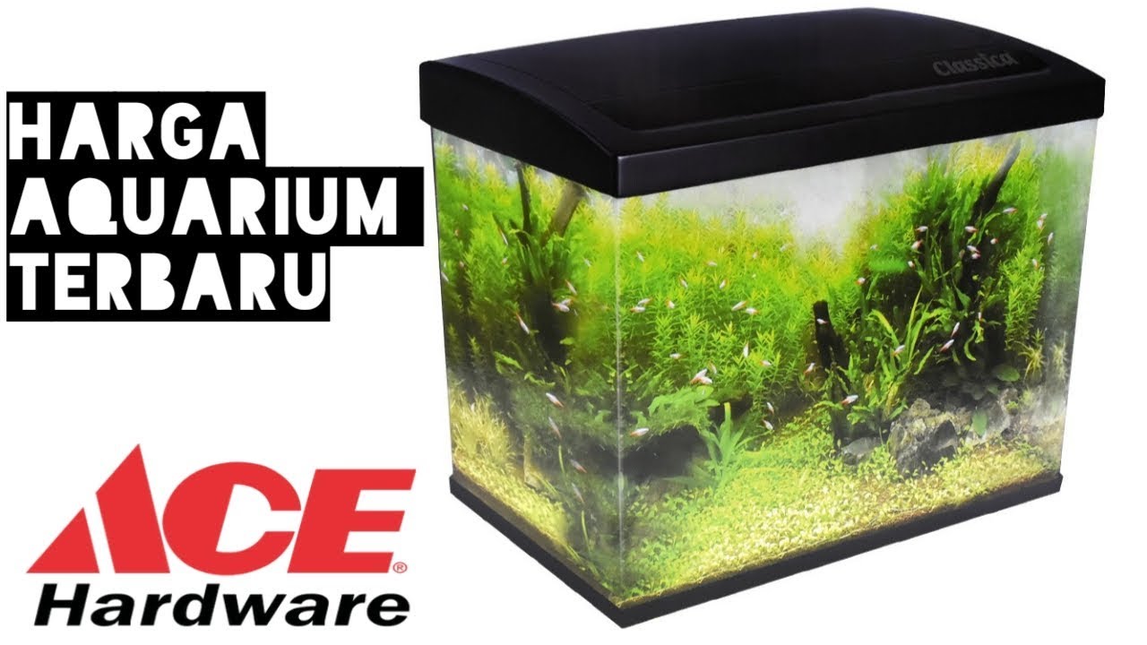 Harga Aquarium Model Terbaru Di Ace Hardware Depok YouTube