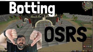 I Tried Botting in RuneScape (OSRS) So You Don't Have To