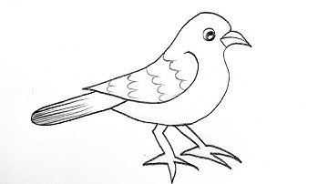 Sparrow drawing Easy Step By Step / how to draw sparrow easy / Bird drawing tutorial  #birddrawing