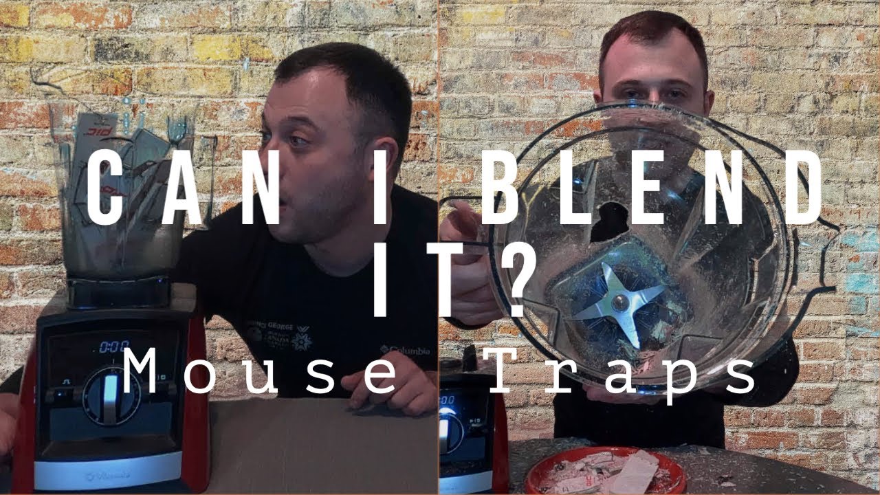 Will it blend? Blending mousetraps / Blender accident explosion
