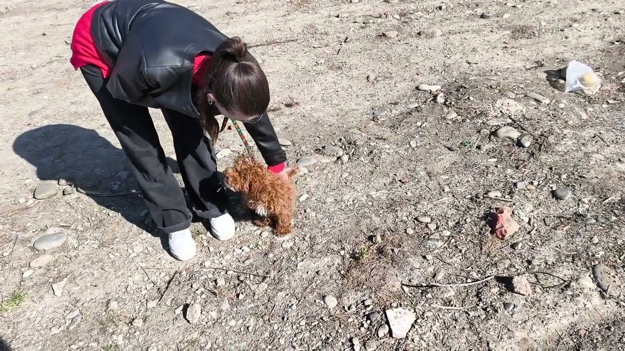 Garlik, first discipline.