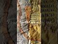 Stitch with me- calm your breath (3) #shorts #sashiko #slowmaking