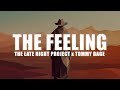 The late night project  tommy rage  the feeling hardstyle cover remix 5th records