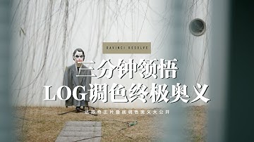 【Davinci Resolve达芬奇调色】3分钟领悟LOG调色终极奥义，快速找回画面丢失的细节（麓书日集DevinLu）