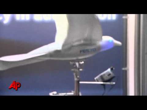 The Bionic Beak: Winged Robots Take Flight