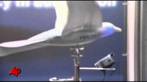 The Bionic Beak: Winged Robots Take Flight