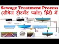 Sewage treatment process (हिंदी में) | Wastewater treatment process