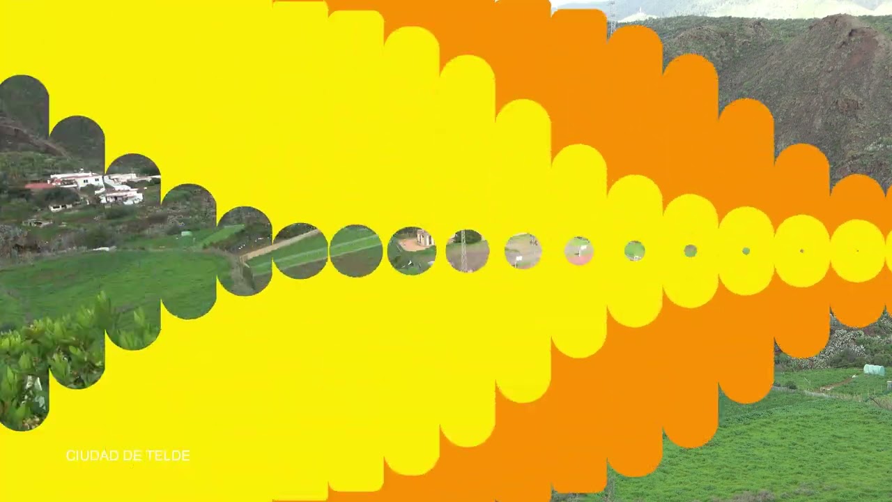 Ciudad de Telde en Verde  19 01 2026