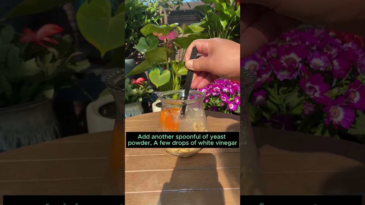 Handle the problem of slow plant growth _