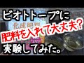 睡蓮ビオトープで化学肥料がエビやメダカに与える影響は？実験してみた。