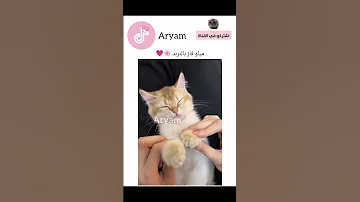 بطلوع الروح مقبول Explore اكسبلور كامري Funny تحشي ترند تحشيش Cat كوميديات ضحك 