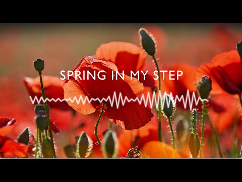 SPRING IN MY STEP - Silent Partner I Background Music (No Copyright Music)