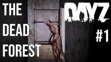 THE DEAD FOREST | FIRST CONTACT (DayZ Cinematic Server Trailer)