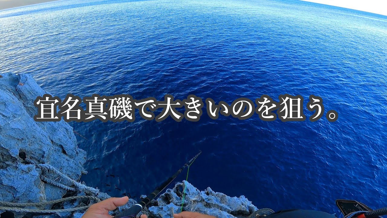 【宜名真】太ハリスで挑んでみた！！【沖縄釣り】