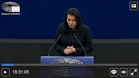 Co je vnitřní migrace?