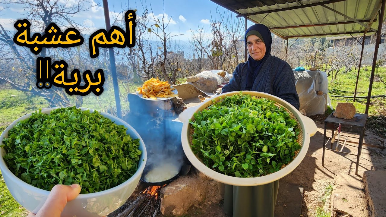 أهم عشبة برية لعلاج فقر الدم🔥عشبة لذيييذة موجودة في كل مكان ومعظم الناس لاتعرفها!!