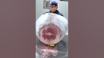 Bên Trong Nghề Bốc Dỡ Cá Ngừ Đông Lạnh – Khi Mỗi Giây Là Cuộc Chiến Sinh Tử