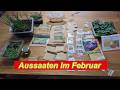 Aussaaten Februar 2026