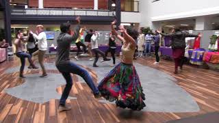 Swarali Workshop @ K-State Video 3