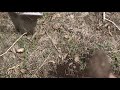 Metal Detecting Military History - A Surprise Civil War Era Find!