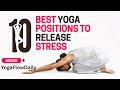 Yoga for Mental Health | Daily Stress Relief Flow (Beginners) #yogapractice