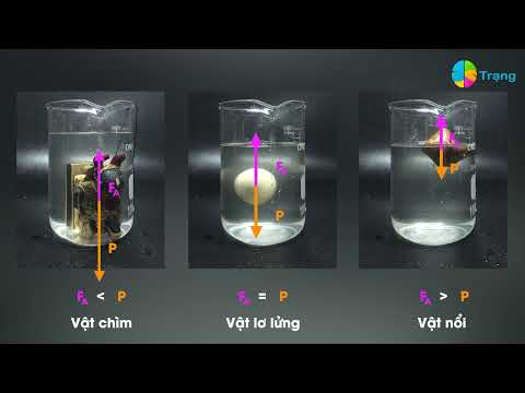 Video VẬT LÝ 8| SỰ NỔI| VẬT NỔI|VẬT CHÌM| VẬT LƠ LỬNG| LỰC... - YouTube