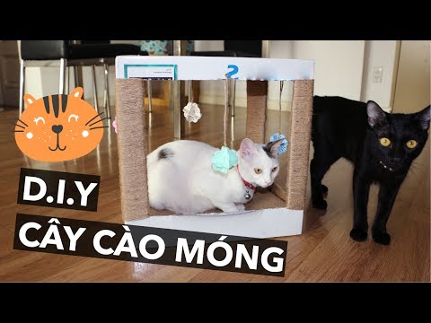 Tự làm đồ chơi cào móng cho mèo