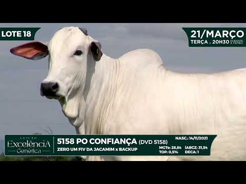 LOTE 18 DVD 5158