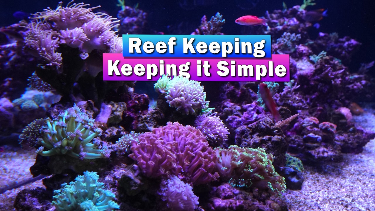 Reefing   Keeping it simple
