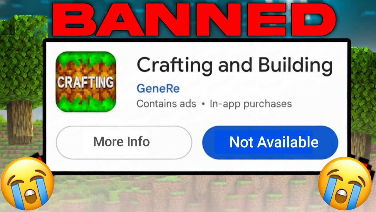 Crafting And Building Is Got B@nned 😭| The End | Craft OMG 
